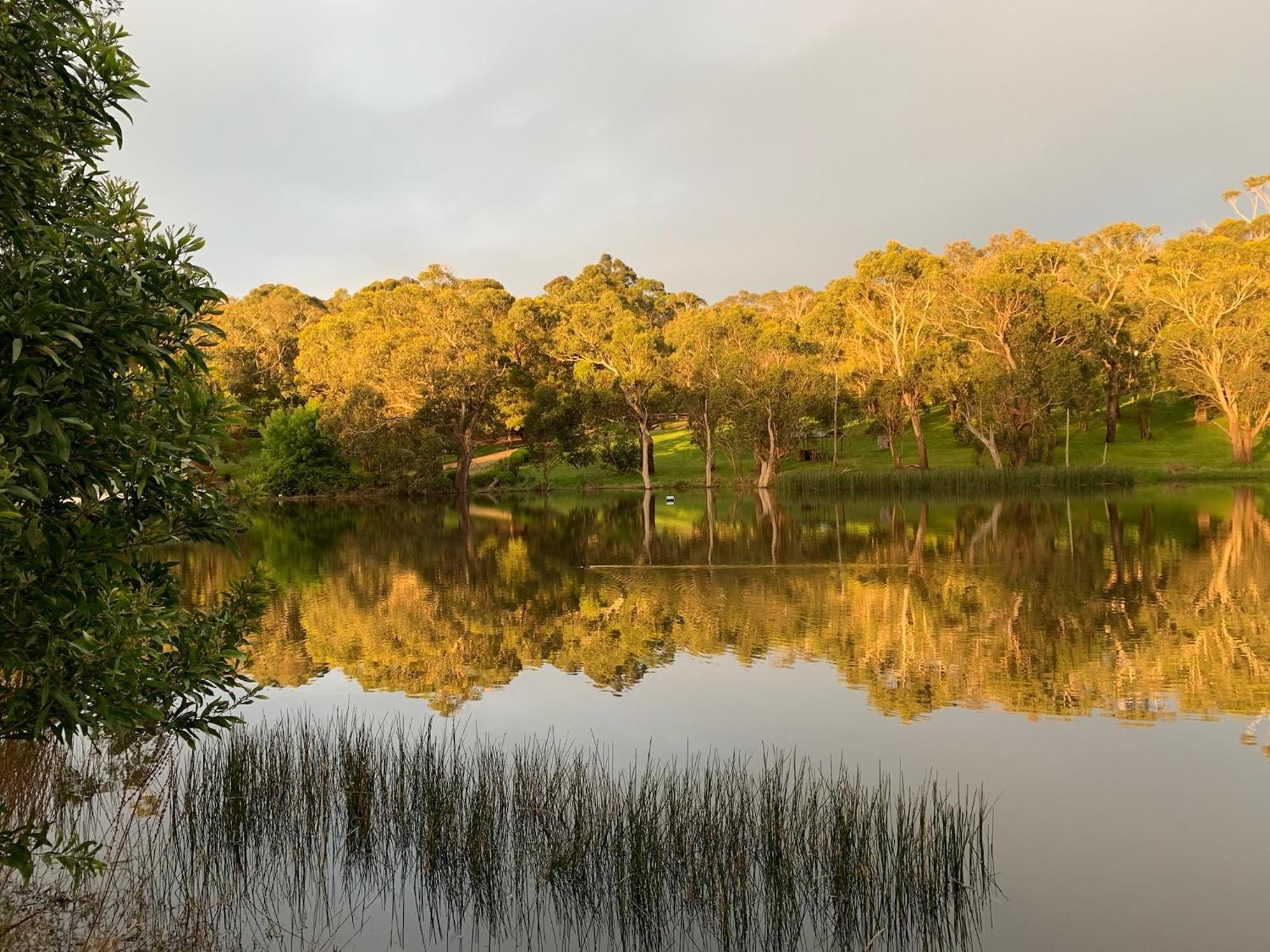 Iluka Retreat Glamping Village Red Hill South Exterior foto